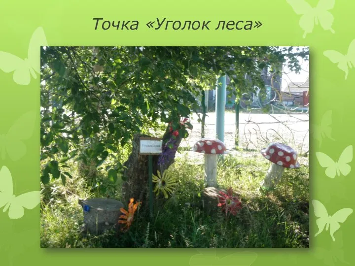 Точка «Уголок леса»