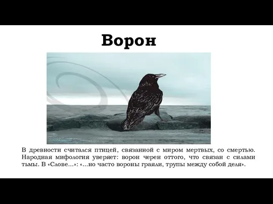 Ворон В древности считался птицей, связанной с миром мертвых, со смертью.