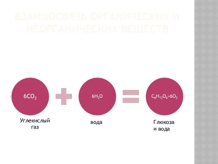 ВЗАИМОСВЯЗЬ ОРГАНИЧЕСКИХ И НЕОРГАНИЧЕСКИХ ВЕЩЕСТВ Углекислый газ вода Глюкоза и вода