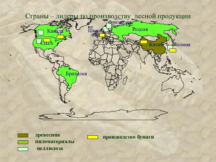 Страны – лидеры по производству лесной продукции древесина