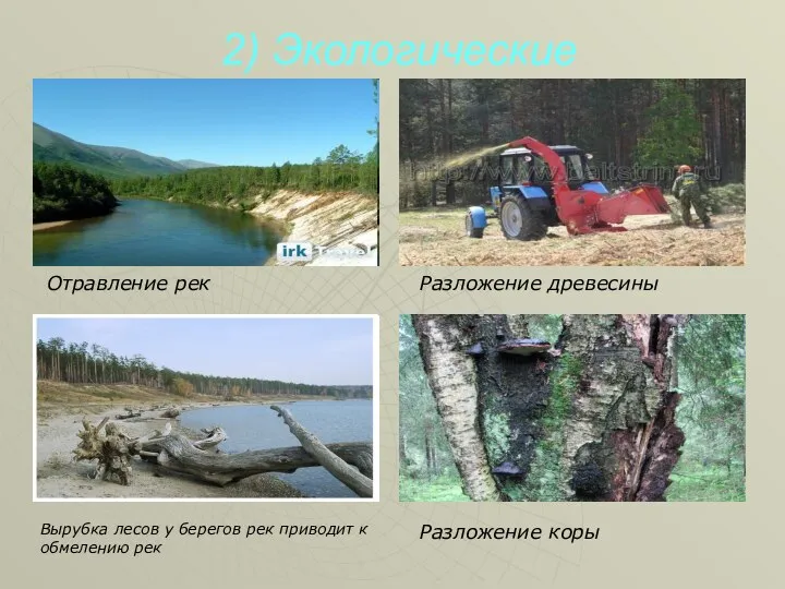 2) Экологические Отравление рек Вырубка лесов у берегов рек приводит к