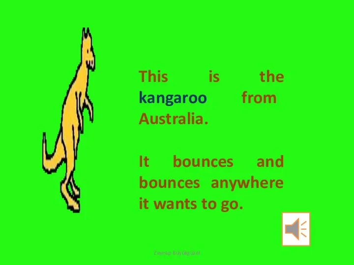 This is the kangaroo from Australia. It bounces and bounces anywhere