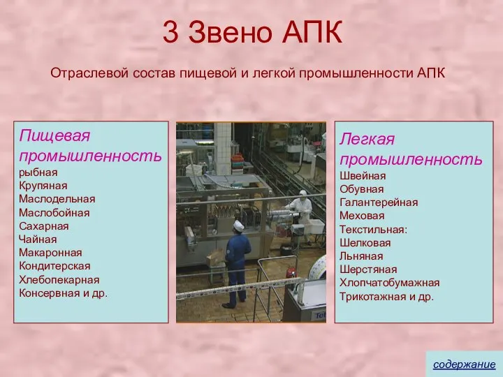 3 Звено АПК Отраслевой состав пищевой и легкой промышленности АПК Пищевая