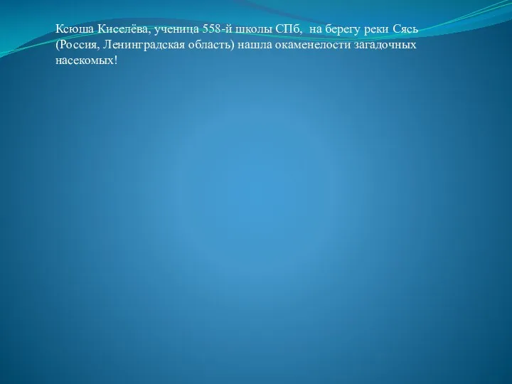 Ксюша Киселёва, ученица 558-й школы СПб, на берегу реки Сясь (Россия,