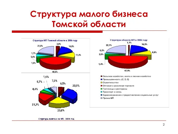 Структура малого бизнеса Томской области