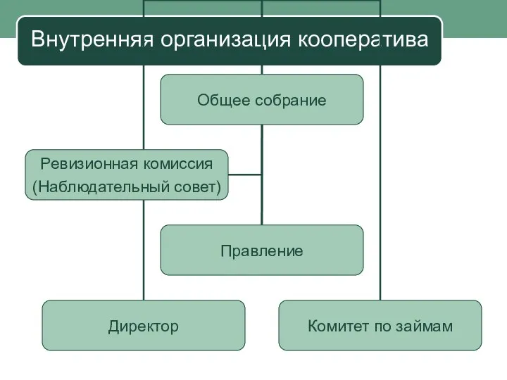 Внутренняя организация кооператива