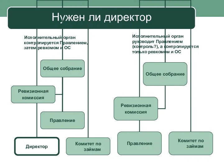 Нужен ли директор Исполнительный орган контролируется Правлением, затем ревкомом и ОС