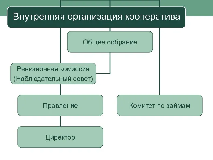 Внутренняя организация кооператива