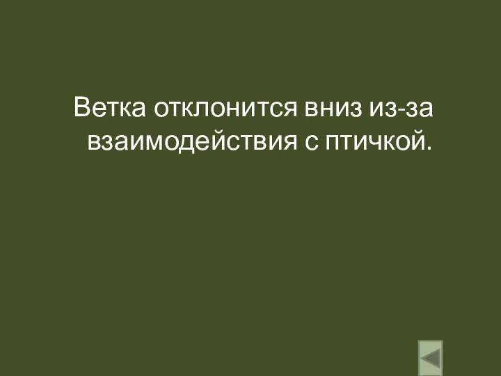 Ветка отклонится вниз из-за взаимодействия с птичкой.