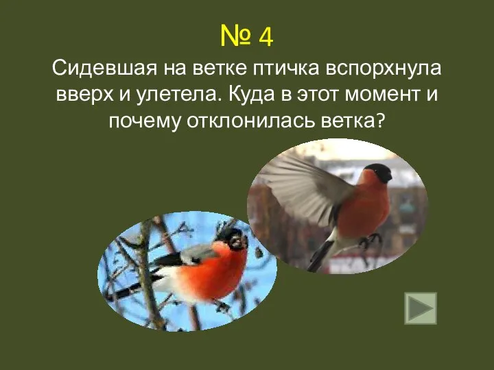 № 4 Сидевшая на ветке птичка вспорхнула вверх и улетела. Куда