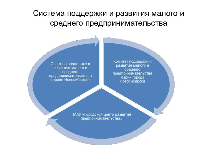 Система поддержки и развития малого и среднего предпринимательства