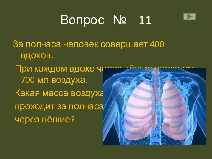 Вопрос № 11 За полчаса человек совершает 400 вдохов. При каждом