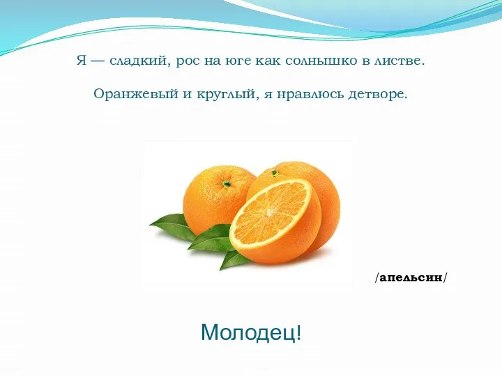 Я — сладкий, рос на юге как солнышко в листве. Оранжевый