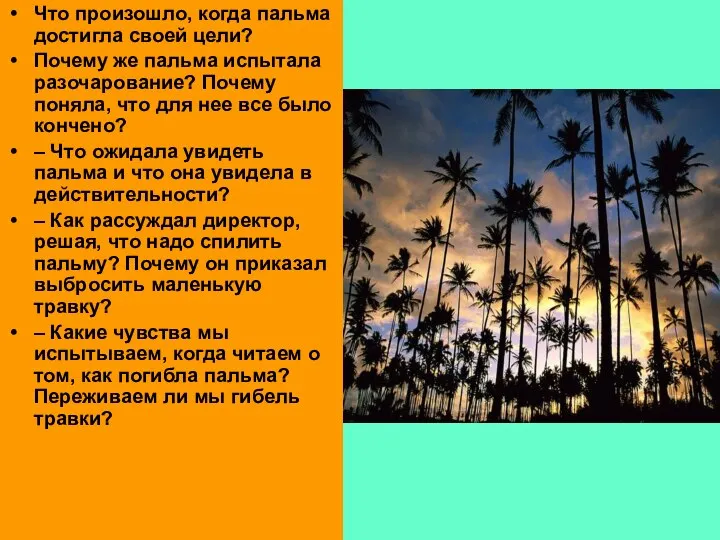 Что произошло, когда пальма достигла своей цели? Почему же пальма испытала