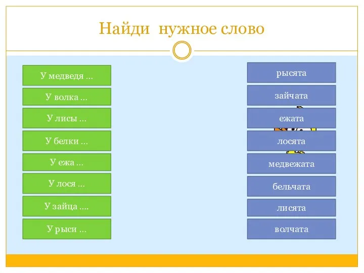 Найди нужное слово У медведя … У волка … У лося