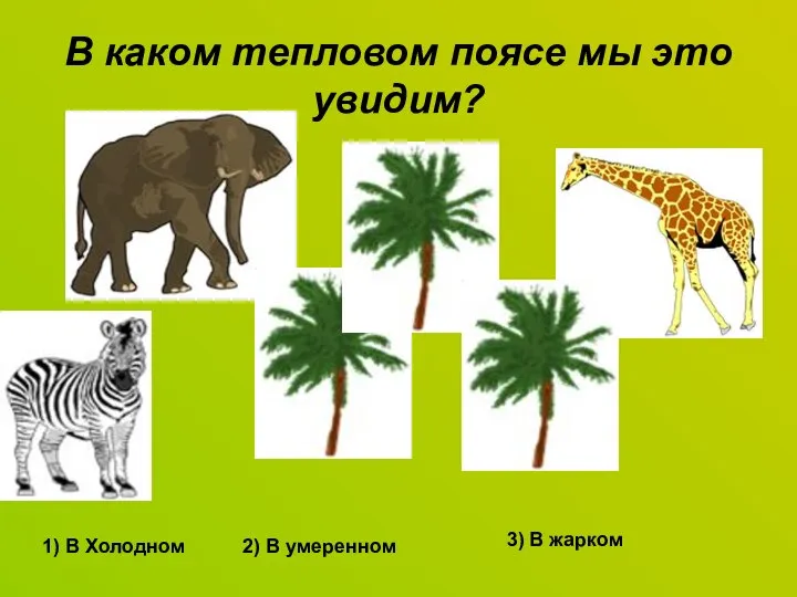 В каком тепловом поясе мы это увидим? 1) В Холодном 2) В умеренном 3) В жарком