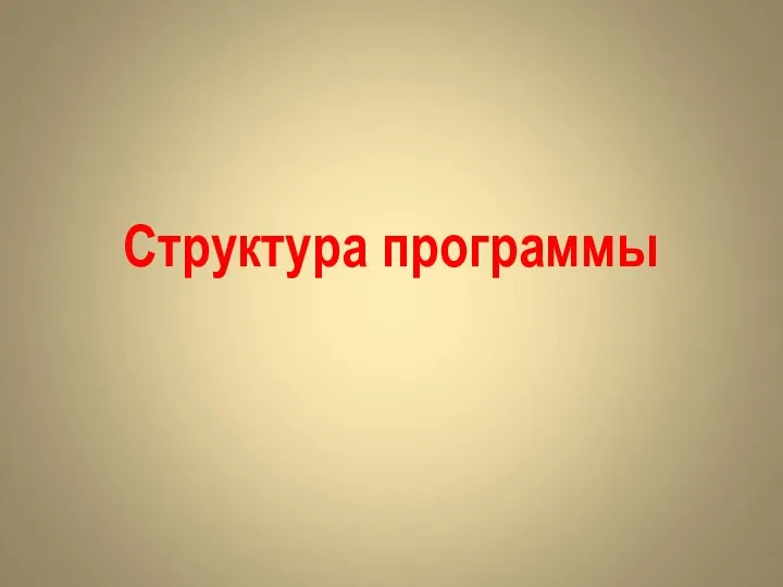 Структура программы