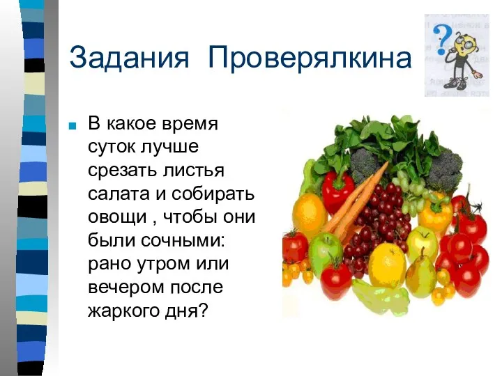 Задания Проверялкина В какое время суток лучше срезать листья салата и