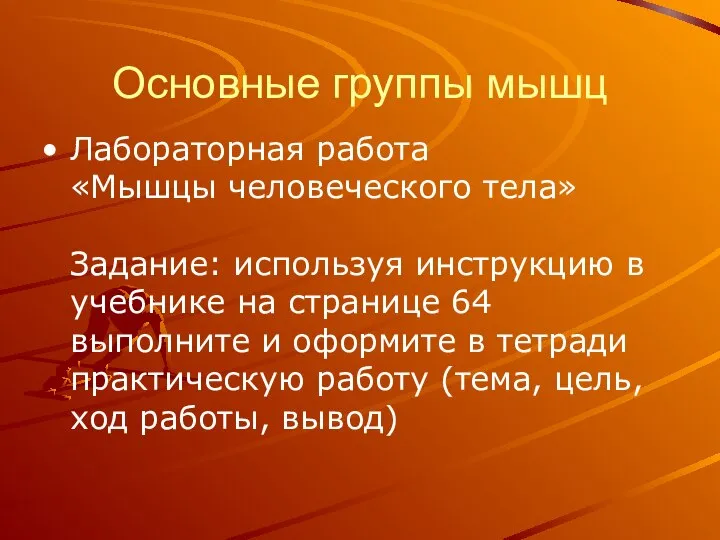 Основные группы мышц Лабораторная работа «Мышцы человеческого тела» Задание: используя инструкцию