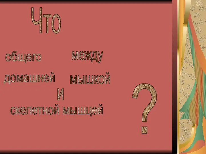 Что общего между домашней мышкой и скелетной мышцей ?