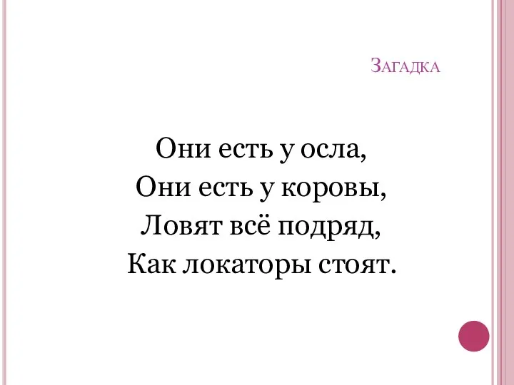 Загадка Они есть у осла, Они есть у коровы, Ловят всё подряд, Как локаторы стоят.