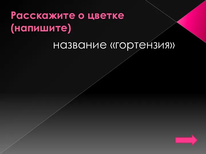 Расскажите о цветке(напишите) название «гортензия»