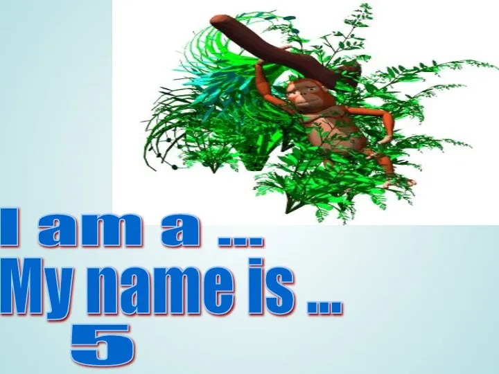 I am a ... My name is ... 5
