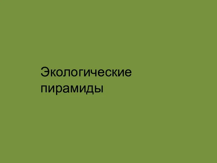 Экологические пирамиды