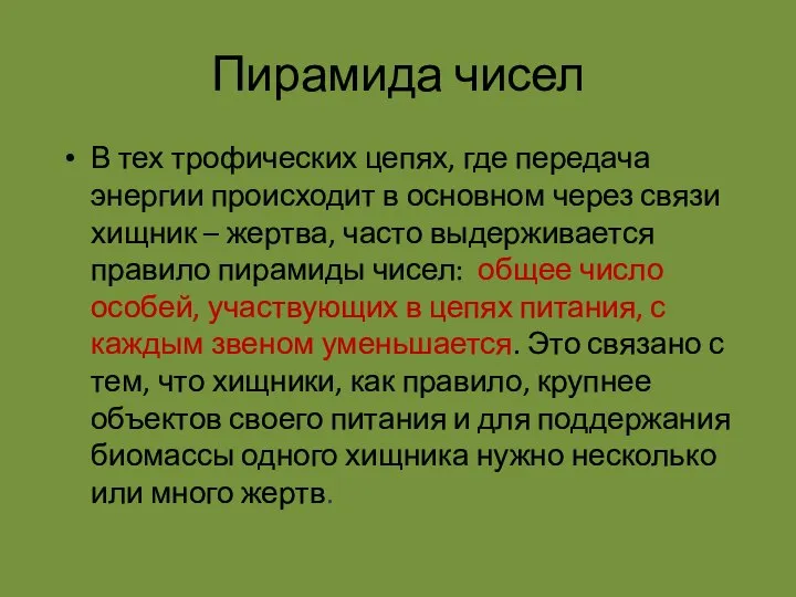 Пирамида чисел В тех трофических цепях, где передача энергии происходит в