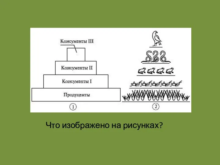 Что изображено на рисунках?