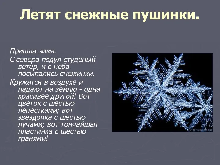 Летят снежные пушинки. Пришла зима. С севера подул студеный ветер, и