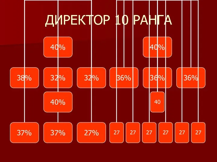 ДИРЕКТОР 10 РАНГА