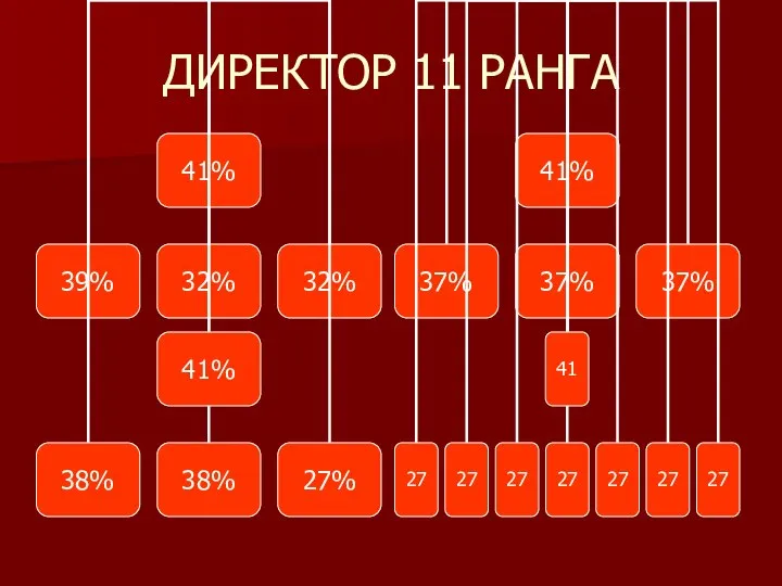 ДИРЕКТОР 11 РАНГА