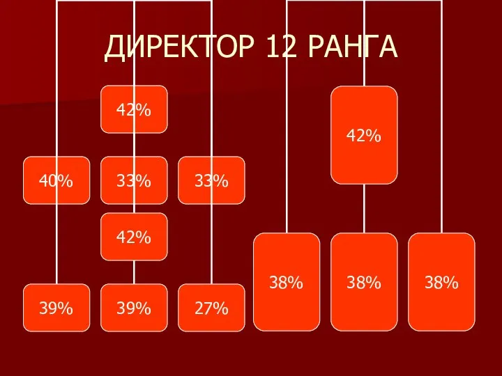 ДИРЕКТОР 12 РАНГА