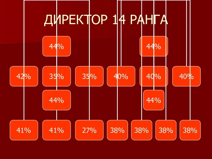 ДИРЕКТОР 14 РАНГА