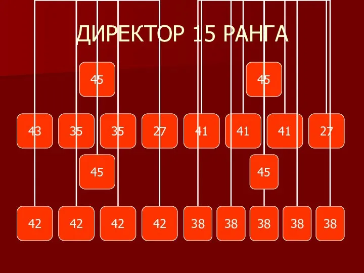 ДИРЕКТОР 15 РАНГА