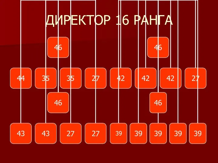 ДИРЕКТОР 16 РАНГА