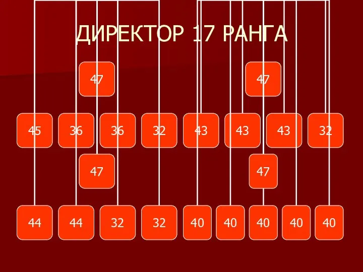 ДИРЕКТОР 17 РАНГА