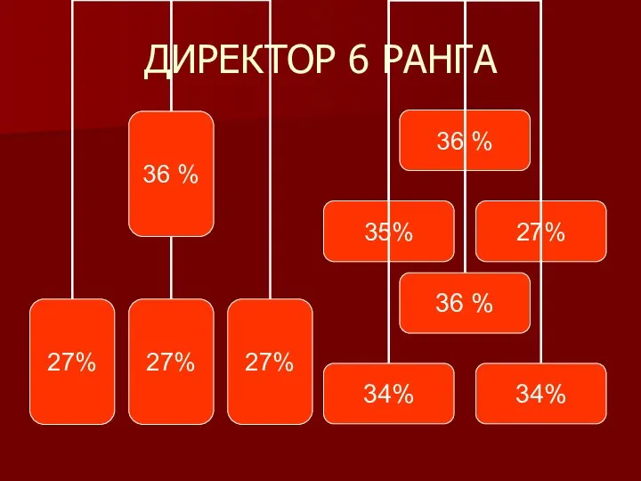 ДИРЕКТОР 6 РАНГА