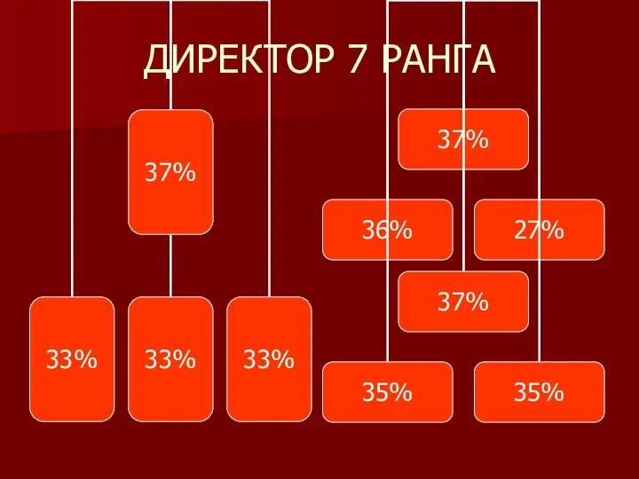 ДИРЕКТОР 7 РАНГА