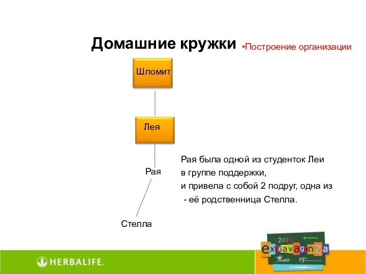 Домашние кружки Построение организации Шломит Лея Рая Стелла Рая была одной