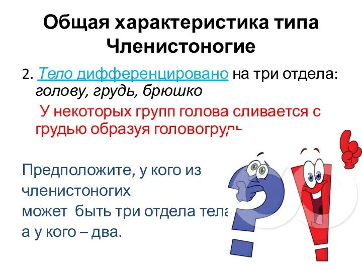 2. Тело дифференцировано на три отдела: голову, грудь, брюшко У некоторых