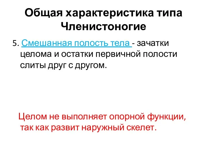 5. Смешанная полость тела - зачатки целома и остатки первичной полости