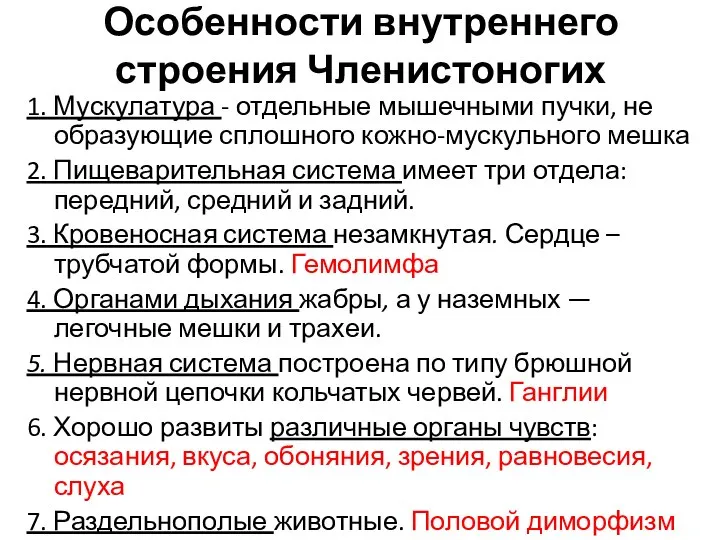 Особенности внутреннего строения Членистоногих 1. Мускулатура - отдельные мышечными пучки, не