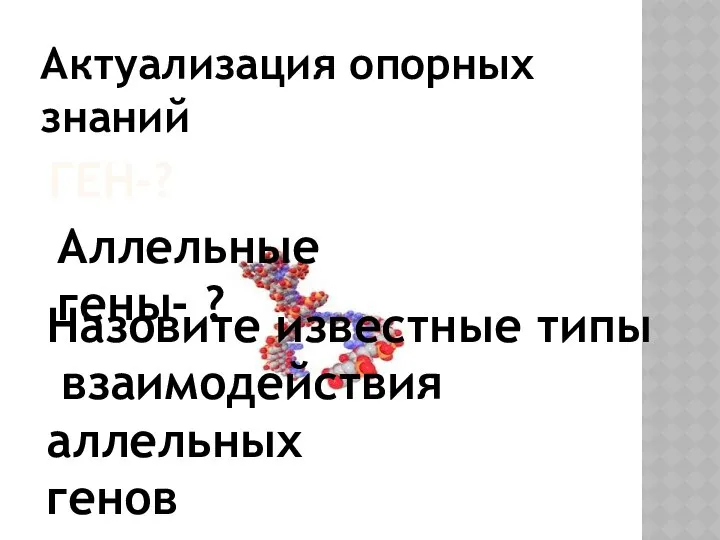 Ген-? Аллельные гены- ? Назовите известные типы взаимодействия аллельных генов Актуализация опорных знаний