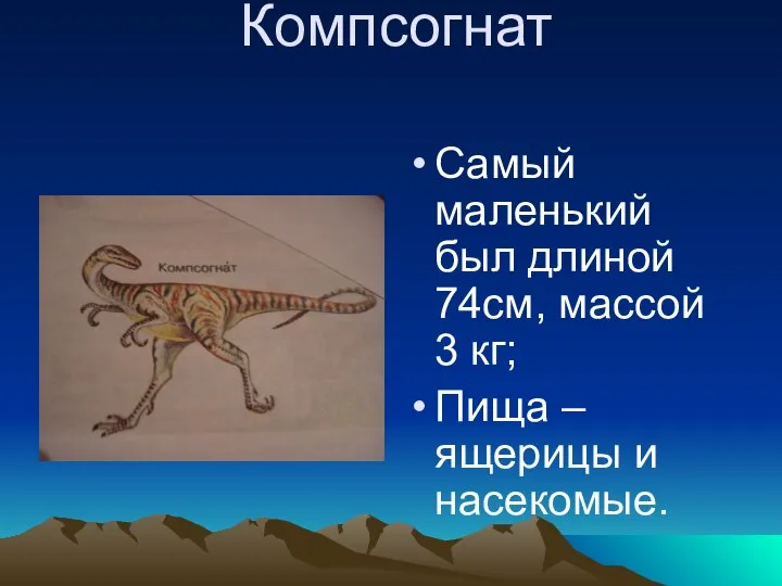 Компсогнат Самый маленький был длиной 74см, массой 3 кг; Пища – ящерицы и насекомые.