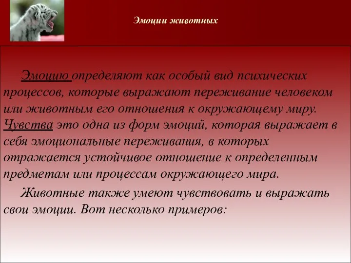 Эмоции животных Эмоцию определяют как особый вид психических процессов, которые выражают