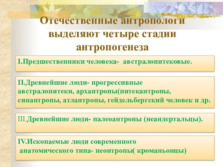 Отечественные антропологи выделяют четыре стадии антропогенеза I.Предшественники человека- австралопитековые. IV.Ископаемые люди