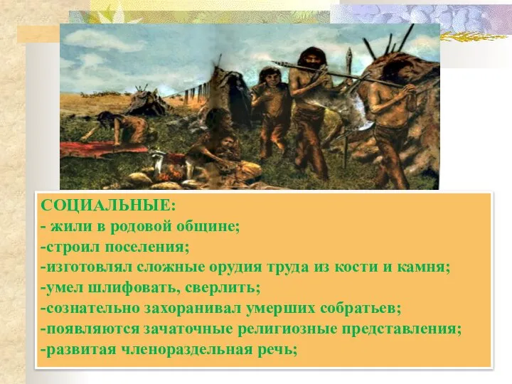 СОЦИАЛЬНЫЕ: - жили в родовой общине; -строил поселения; -изготовлял сложные орудия