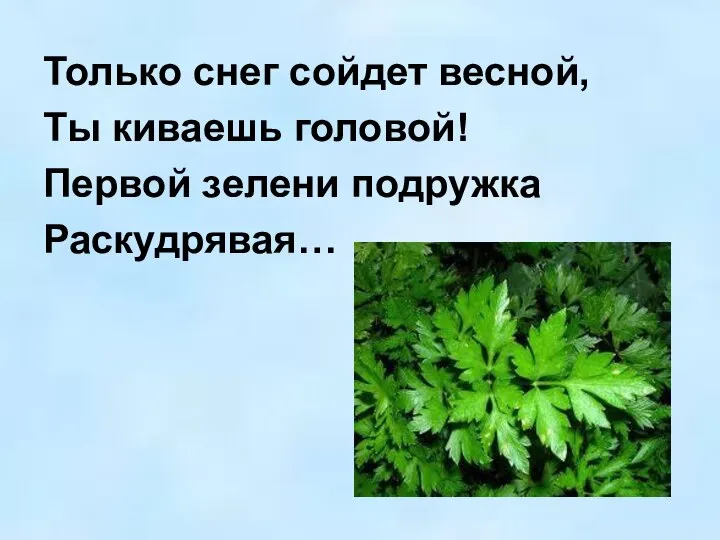 Только снег сойдет весной, Ты киваешь головой! Первой зелени подружка Раскудрявая…